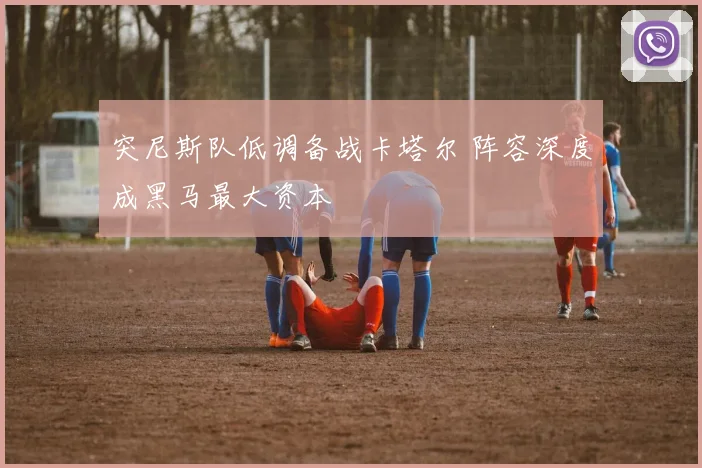 突尼斯队低调备战卡塔尔 阵容深度成黑马最大资本