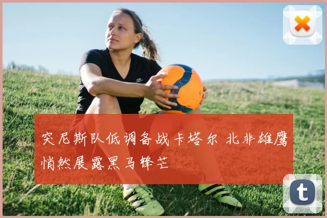 突尼斯队低调备战卡塔尔 北非雄鹰悄然展露黑马锋芒