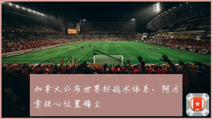 加拿大公布世界杯战术体系，阿方索核心位置确立